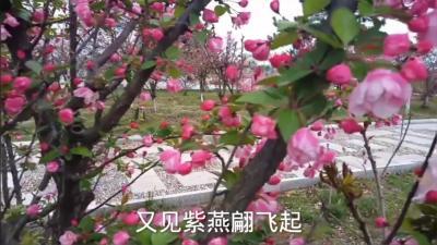 [图]歌曲欣赏《情醉江南雨》