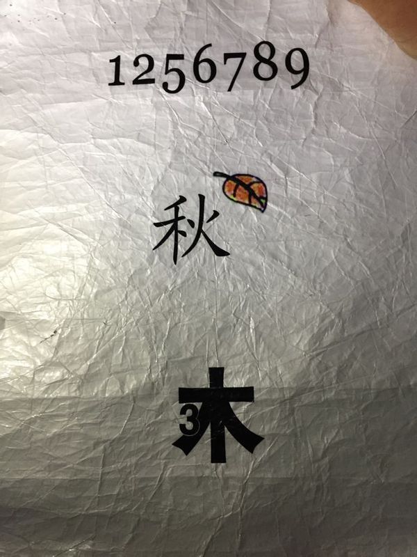 Apple watch短信怎么能调成停写只听写英文?