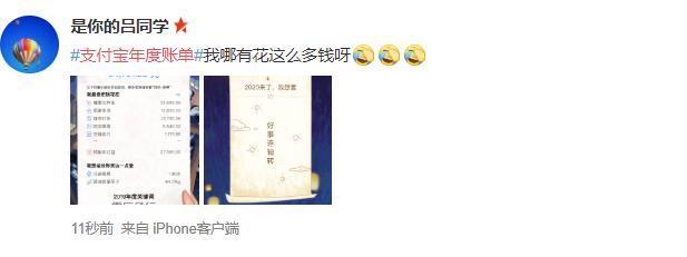 支付宝年消费账单图片