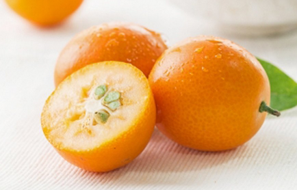 橘子橙子柚子金桔有什么区别 柑橘类水果有哪些
