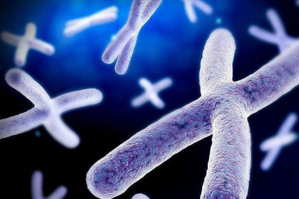 人类有xyy染色体,但为什么没有单独的yy染色体?