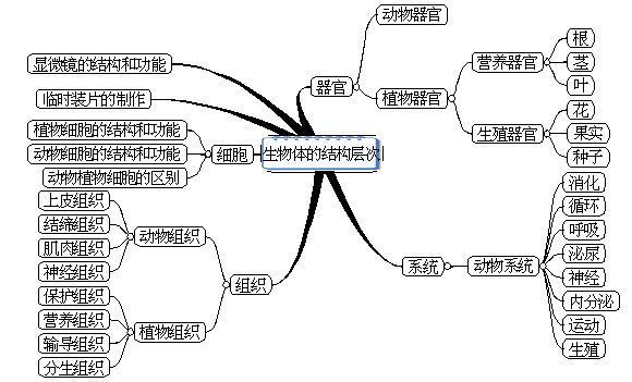 七上生物思维导图 整本书三个单元