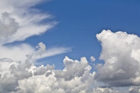 电影心灵捕手百度云盘资源。