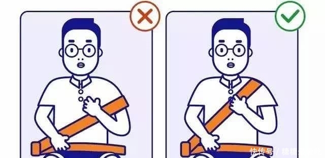 后排乘客也要系安全带吗