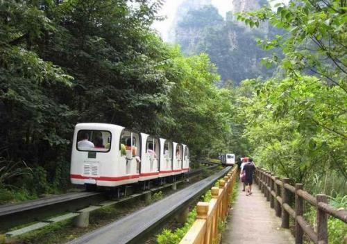 有张家界到长沙高铁站的大巴吗?票价多少?