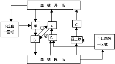 如圖是人體內的血糖平衡調節示意圖,請據圖回答問題.