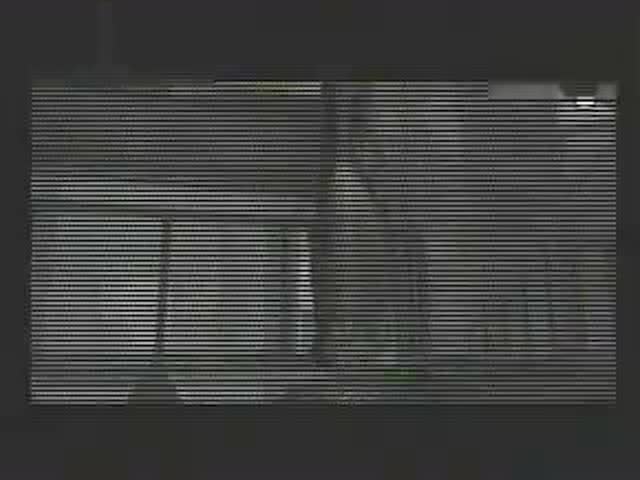 [游戏]生化危机代号维罗尼卡克里斯刀战 阿莱克西亚(最终形态)