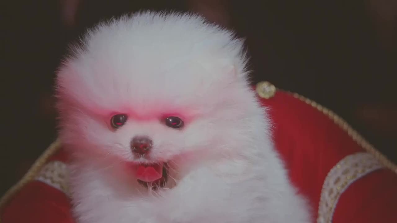 360影视 影视搜索