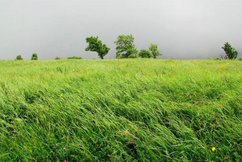 形容风的声音用什么词