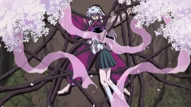 犬夜叉剧场版,保护 犬夜叉被弓箭射中的戈薇