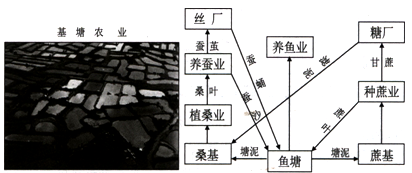 及空间分布。下图示意珠江三角洲的基塘农业。