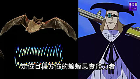 海贼王专题#273 蝙蝠人音越超音波 范奥卡