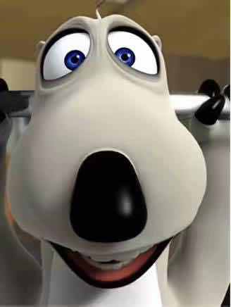 《倒霉熊》最新电影讲什么?