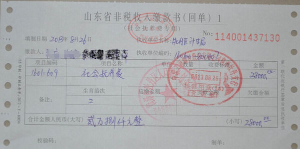 超生罚款单样板