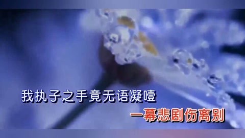 [图]魏新雨演唱《伤离别》，我等你花开花谢，一生痴情换伤离别！