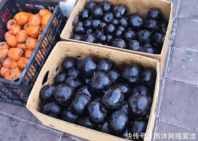 有人说东北人是