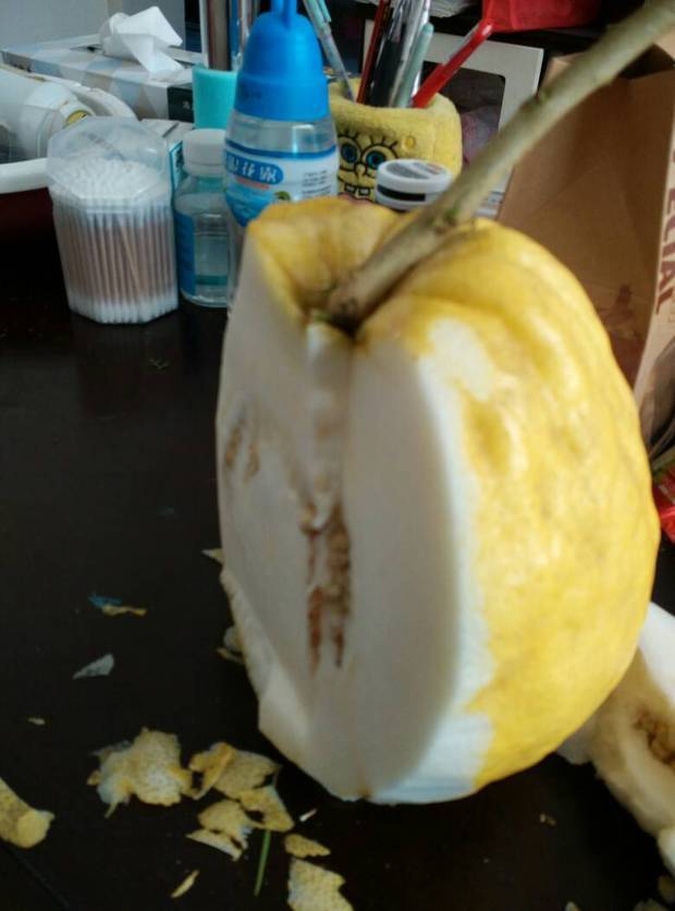 云南的,当地人叫"香茵"!