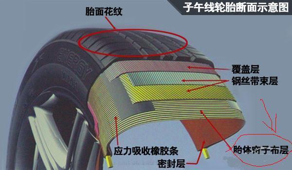 轮胎帘线层位置图片