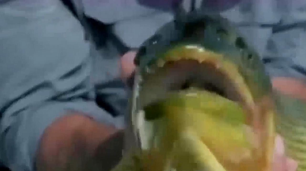 360影视 影视搜索 360影视 影视搜索