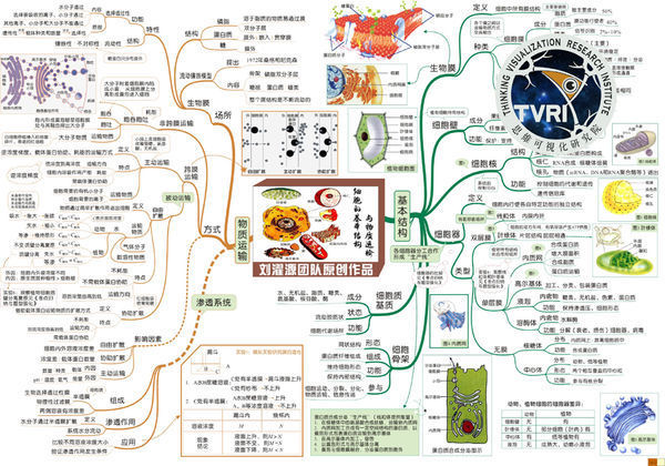 高中生物必修三1章到6章的思維導圖