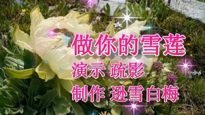 [图]我愿《做你的雪莲》,为你绽放最美的花蕾,舞蹈演示疏影