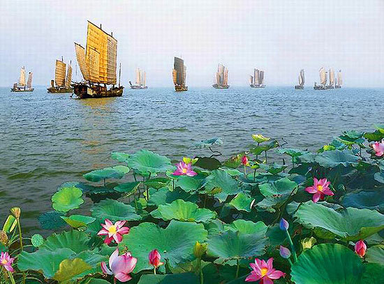 荷花与帆船的美景
