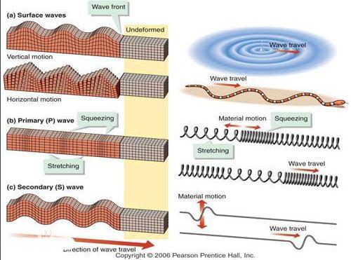地震波主要分为纵波,横波和面波,通常来说造成伤害最大的是什么