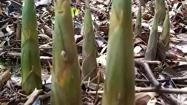 360影视 影视搜索 360影视 影视搜索