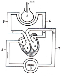 如圖是血液循環和氣體交換示意圖,請據圖回答:(在[]內填序號或字母,在
