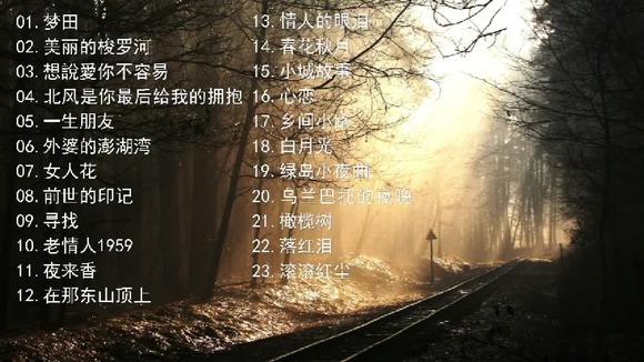 [图]极品发烧人声低音炮赵鹏歌曲精选集《情人的眼泪》《乡间小路》