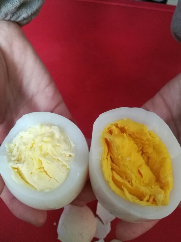 这两个鹅蛋为什么蛋黄颜色差别这么大,正常吗?