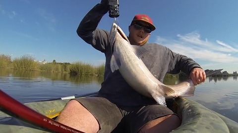 看 外国人钓鱼好惬意  大鱼一条接一条的连杆