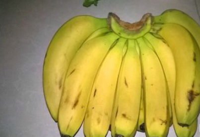 3,准备要催熟的香蕉.