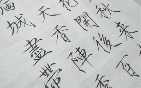 【瘦金体】黄巢《 不第后赋菊》