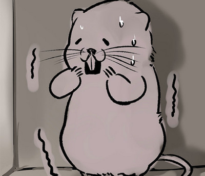 竹鼠活下去怎么玩 竹鼠活下去攻略分享