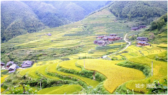 7月,8月份适合去哪里旅游好