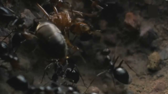 360影视 影视搜索 360影视 影视搜索