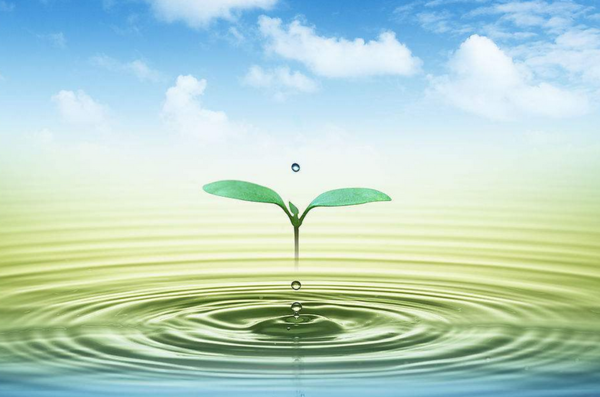 9月6日,环境保护部水环境管理司负责人对相关媒体表示,一些地方落实