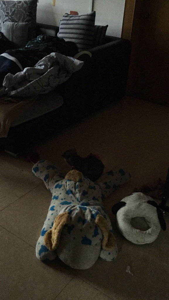 为什么iphone录像光线很暗,拍照就不会,我是6p