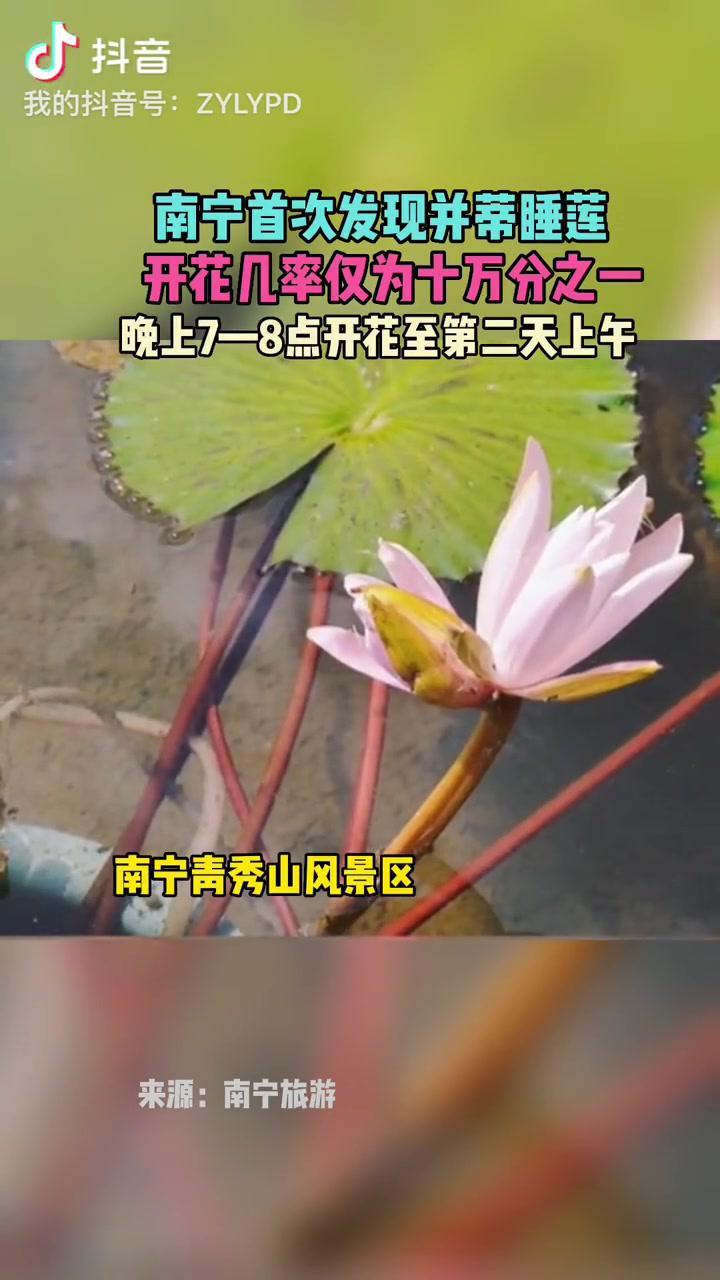 360影视 影视搜索 360影视 影视搜索