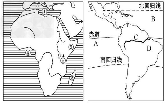 a_____洋,d_____高原(3)非洲和美洲拉美空白地图